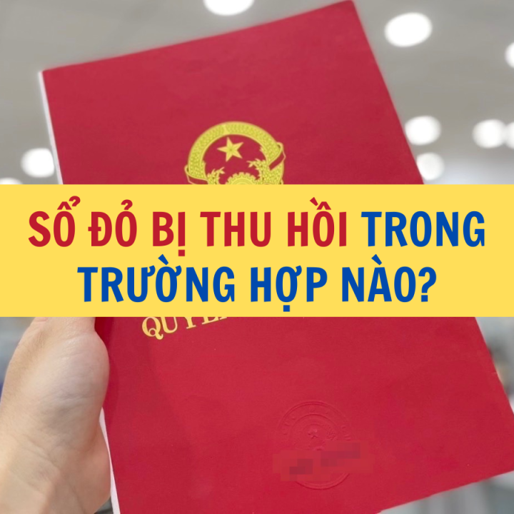 Sổ đỏ bị thu hồi trong trường hợp nào? - Công ty Luật Thuận Đức